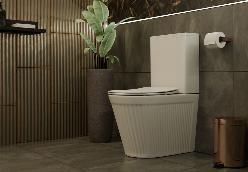 Inodoro compacto Beca Fossil Natura mate ambiente 5