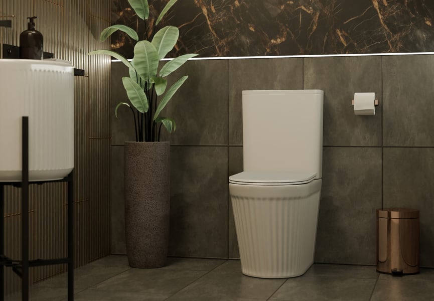 Inodoro compacto Beca Fossil Natura ambiente 2