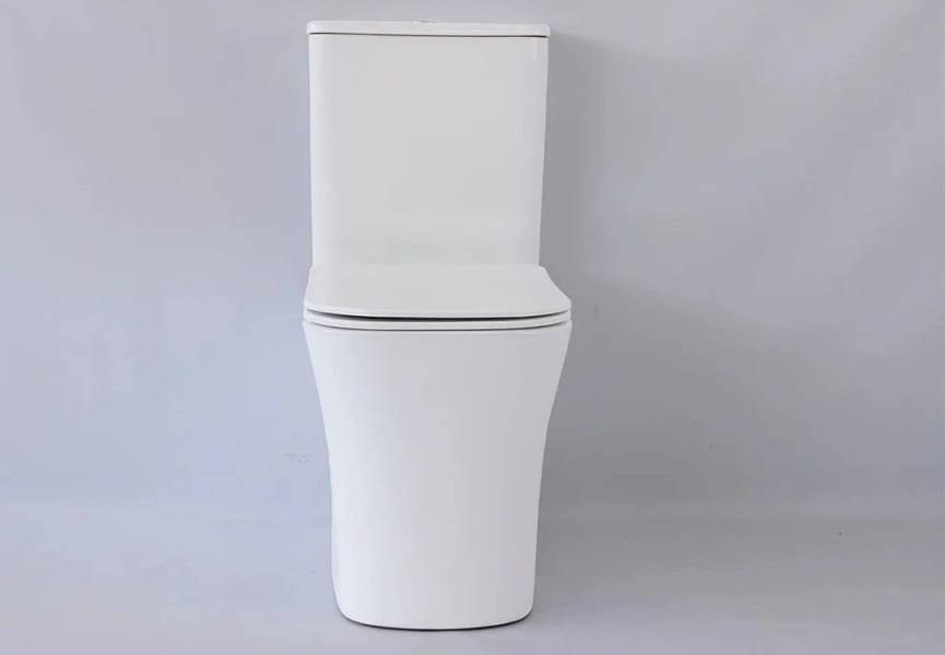 Inodoro compacto Koa Fossil Natura detalle 1