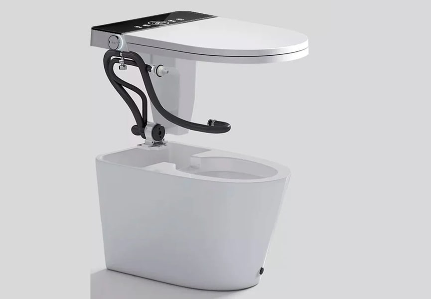 Inodoro inteligente Aquila Fossil Natura opción 9