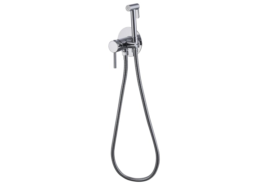 Inodoro con 2024 ducha higienica