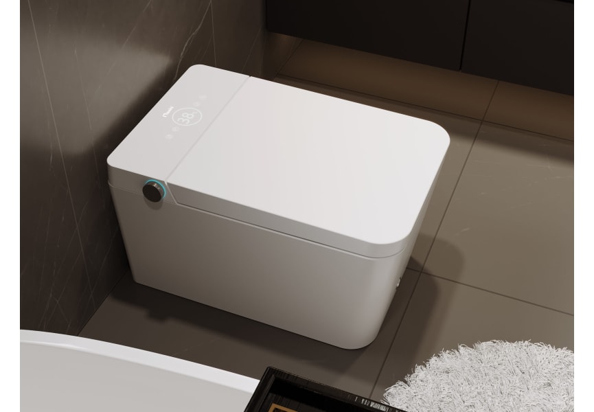 Nashi - Inodoro Japonés Suspendido de Pared Inodoro con Bidet Diseño para  Cisterna Empotrable Luz Nocturna Asiento Calefactable, Agua Caliente y  Secado WC Japones Inteligente EOS, Blanco : : Bricolaje y  herramientas