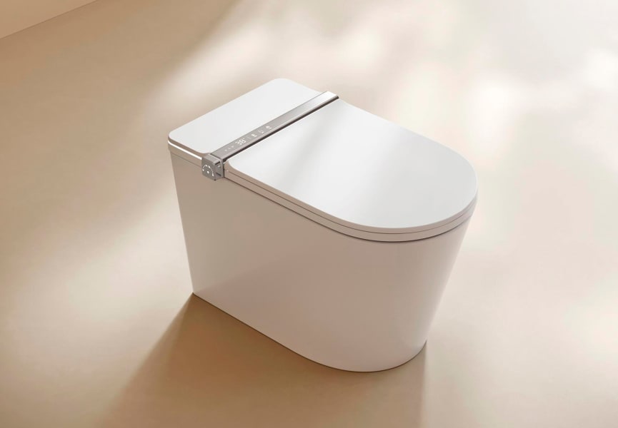 Inodoro inteligente Lyra Fossil Natura ambiente 2