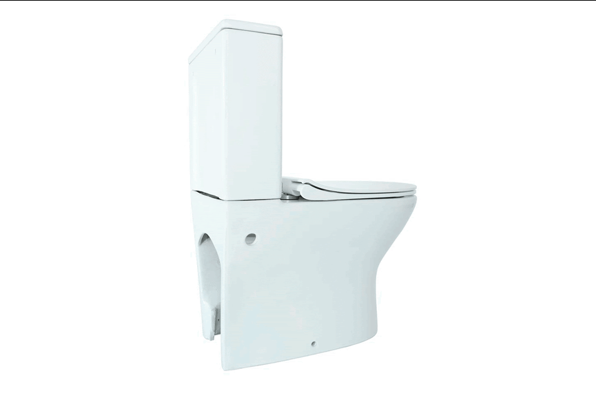 Inodoro compacto Nico Fossil Natura 3D 5