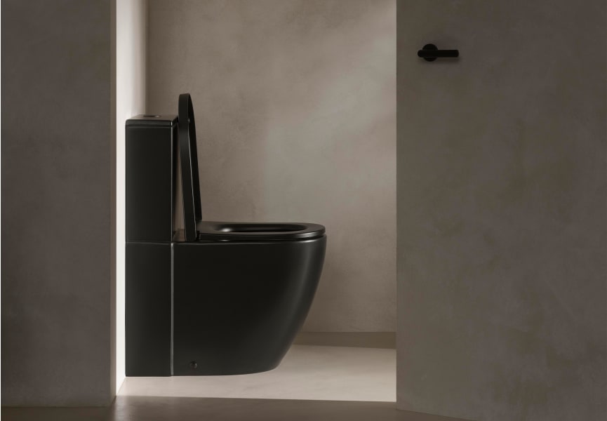 Inodoro Rimless Meridian Roca ambiente 9