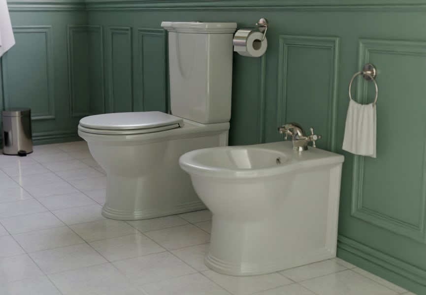 Pack inodoro compacto + bidé Olimpia Fossil Natura principal 1