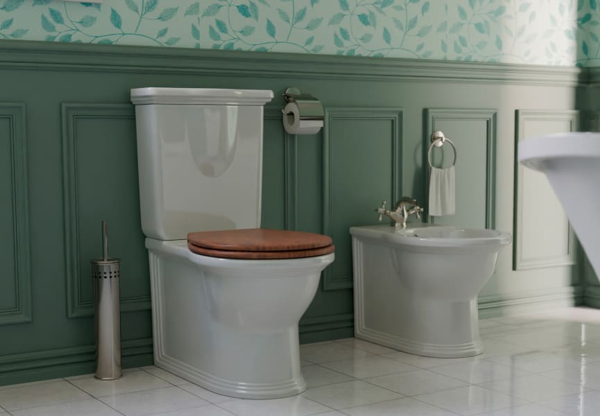 Pack inodoro compacto + bidé Olimpia Fossil Natura principal 0