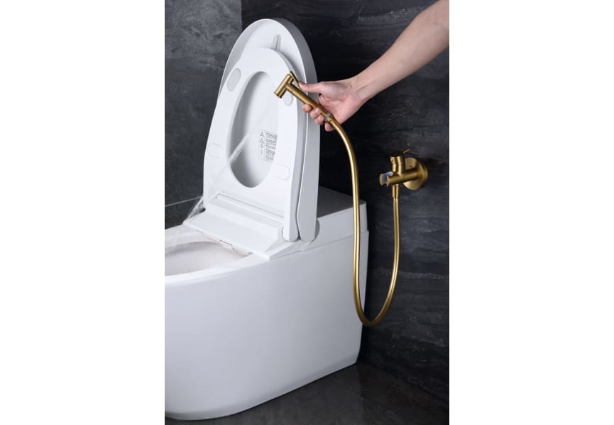 Ducha higienica para inodoro best sale