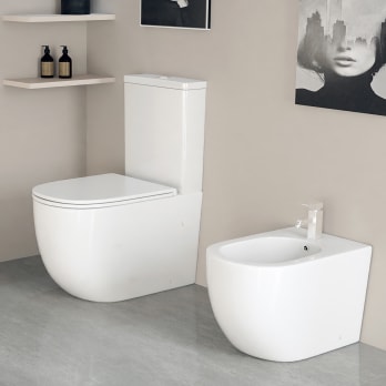 Nashi - Inodoro Japonés Suspendido de Pared Inodoro con Bidet Diseño para  Cisterna Empotrable Luz Nocturna Asiento Calefactable, Agua Caliente y  Secado WC Japones Inteligente EOS, Blanco : : Bricolaje y  herramientas