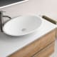 Lavabo sobre encimera Oval Coycama detalle 1