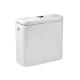 Inodoro Rimless Dama Roca detalle 3