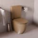 Inodoro compacto Gales Fossil Natura ambiente 5