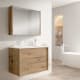 Mueble de baño Aqua Visobath principal 7