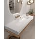 Lavabo de baño suspendido Austin Art and Bath principal 0