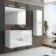 Mueble de baño Luna Campoaras principal 0