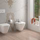 Inodoro suspedido Look Unisan Sanindusa ambiente 8