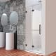 Mampara de ducha Newglass (NG-218) Profiltek principal 1