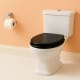 Inodoro Classic de Bruntec detalle 3