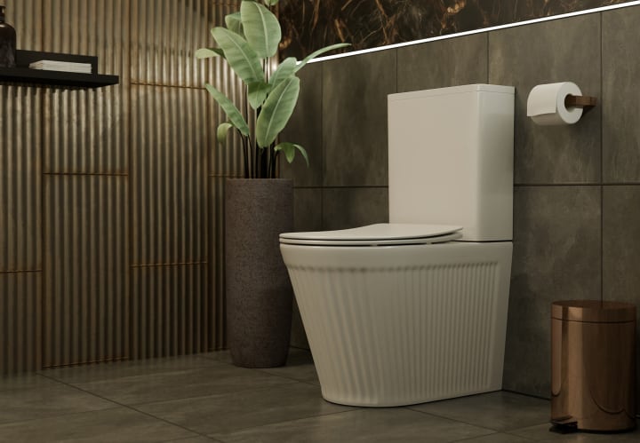 Inodoro compacto Beca Fossil Natura ambiente 5