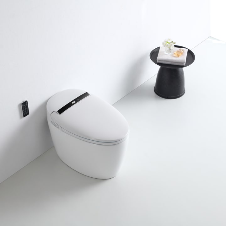 Inodoro japonés inteligente New (In-Tank) Eira Nashi ambiente 8