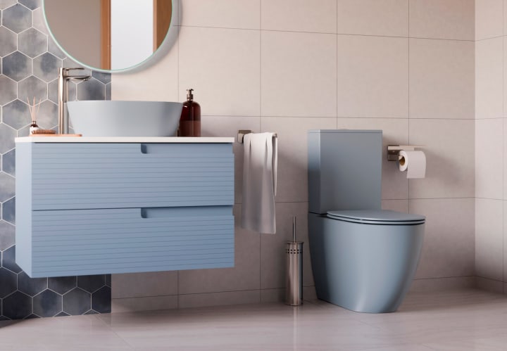 Inodoro compacto Gales Fossil Natura ambiente 4