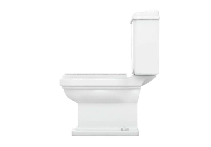 Inodoro compacto Atenas Fossil Natura con tapa ABS detalle 4