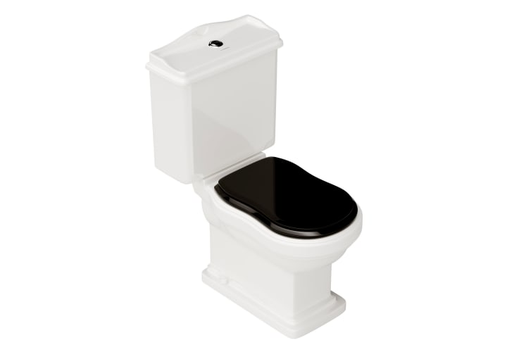Inodoro compacto Atenas Fossil Natura con tapa ABS principal 1