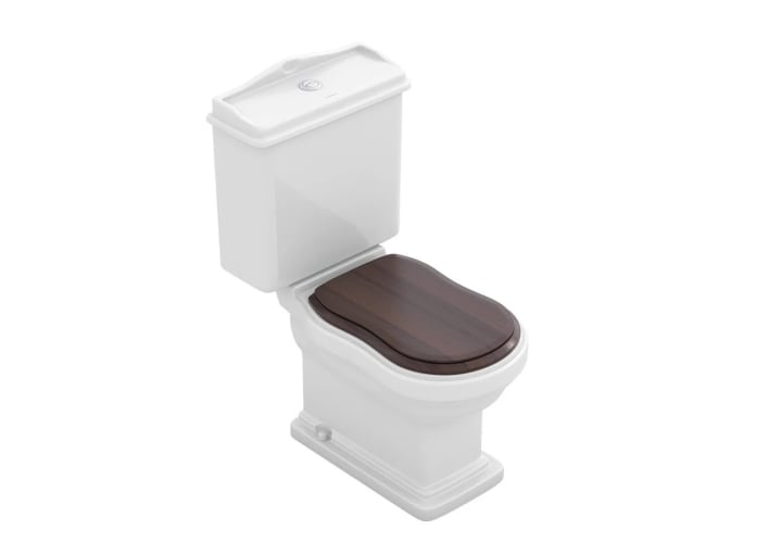 Inodoro compacto Atenas Fossil Natura con tapa de madera principal 4