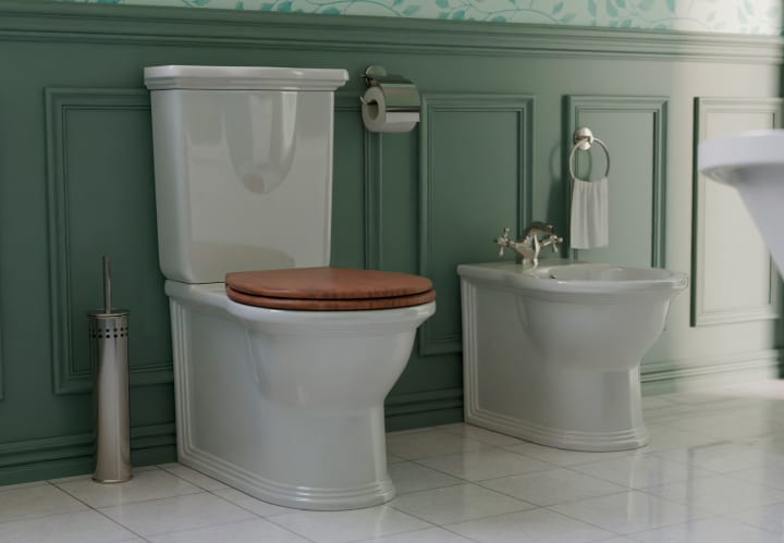 Inodoro compacto Olimpia Fossil Natura con tapa de madera ambiente 1