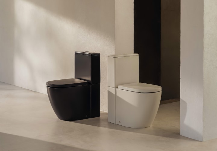 Inodoro Rimless Meridian Roca ambiente 6