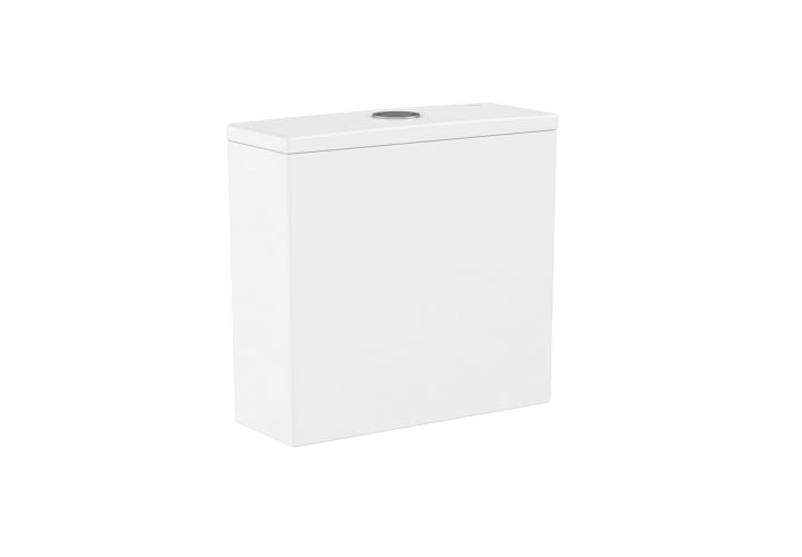 Inodoro Rimless Meridian Roca detalle 2