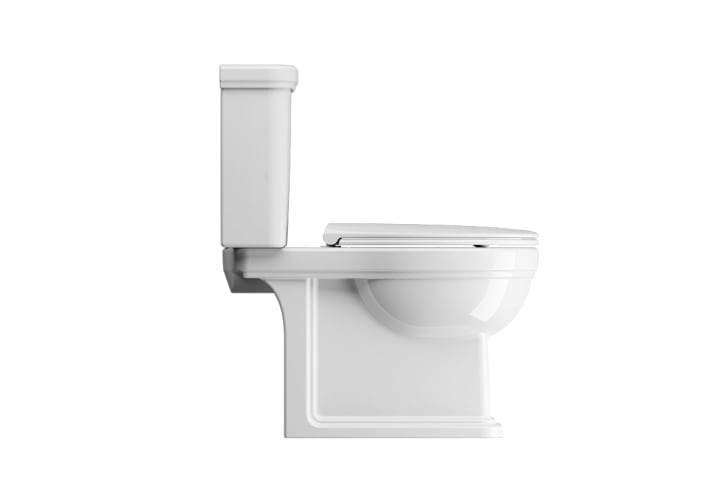 Inodoro Classic de Bruntec principal 1
